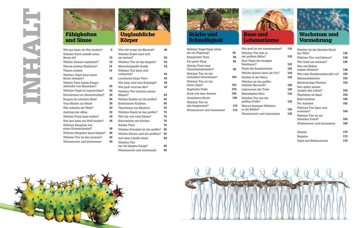 DK Verlag Buch Total verrückte Tiere Geniale Tricks, verblüffende Rekorde, verborgene Talente