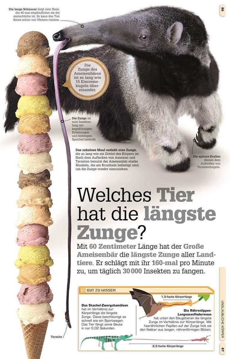 DK Verlag Buch Total verrückte Tiere Geniale Tricks, verblüffende Rekorde, verborgene Talente