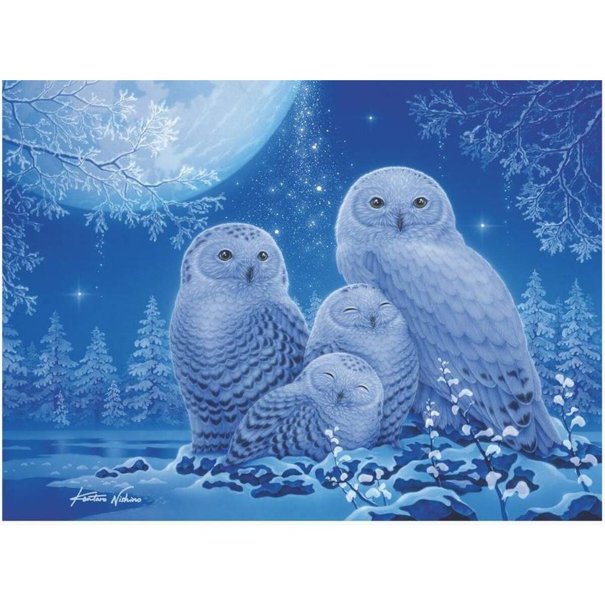 Ravensburger Eulen im Mondschein, 500 Teile