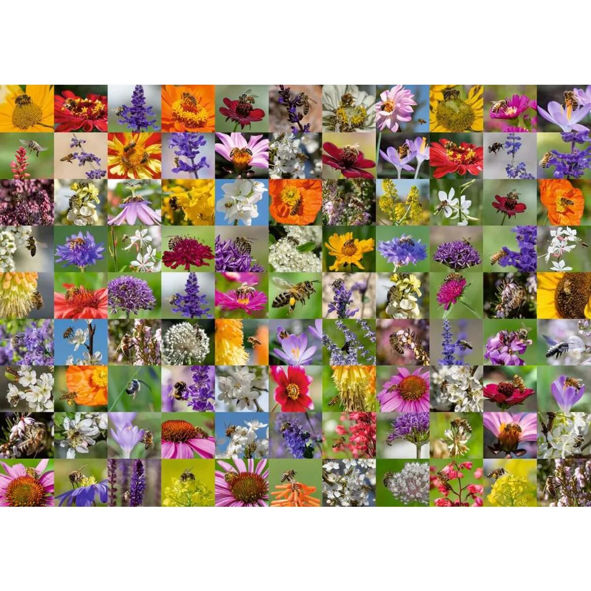 Ravensburger Puzzle - 99 Bienen, 1000 Teile