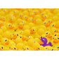 Ravensburger Puzzle - Quietscheenten, 1000 Teile