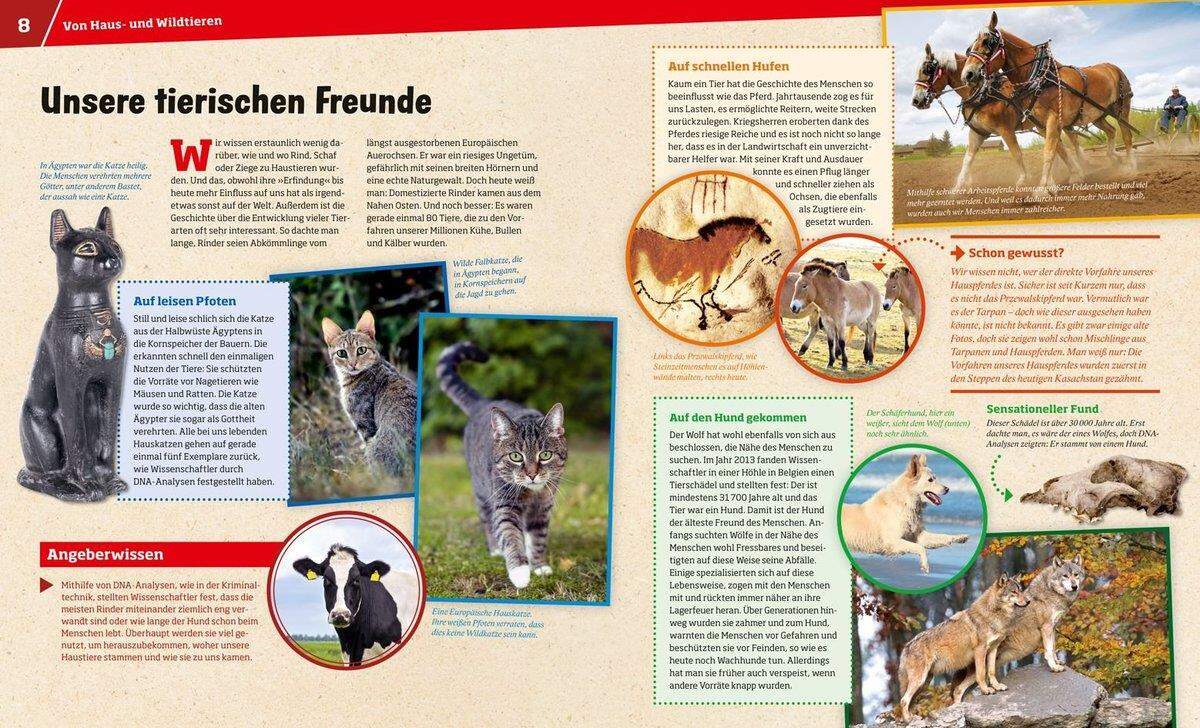 Tessloff WAS IST WAS 072 - Haustiere Unsere liebsten Freunde