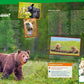 Tessloff WAS IST WAS 115 - Bären, Grizzly, Panda und Eisbär
