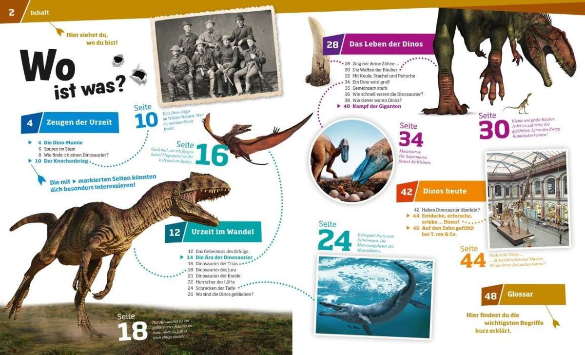 Tessloff WAS IST WAS 15 - Dinosaurier: Im Reich der Riesenechsen