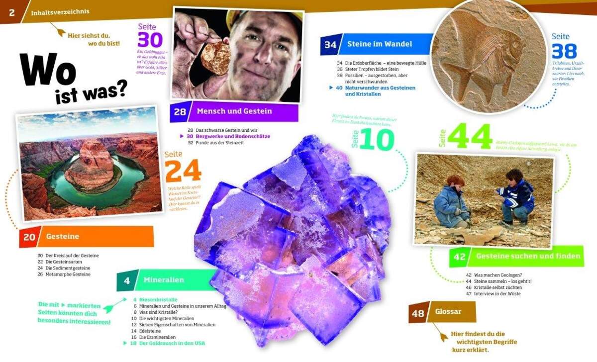 Tessloff WAS IST WAS Band 45 - Mineralien und Gesteine: Funkelnde Schätze