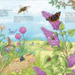 Tessloff WAS IST WAS Kindergarten Band 23. Entdecke die Bienen!