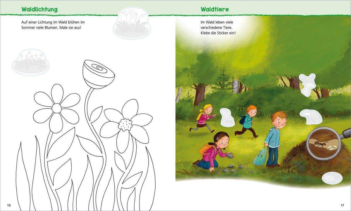 Tessloff WAS IST WAS Kindergarten. Im Wald: Malen, Rätseln, Stickern