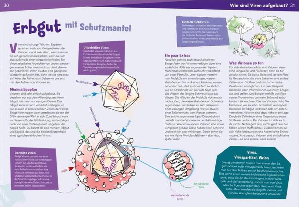 Tessloff WAS IST WAS Naturwissenschaften easy! Biologie. Die Viren und wir